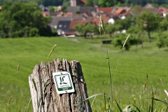 Am Lutherweg 1521