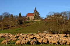 KircheundSchafeNonnr